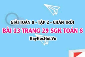 Bài 13 trang 29 Toán 8 Tập 2 Chân trời sáng tạo